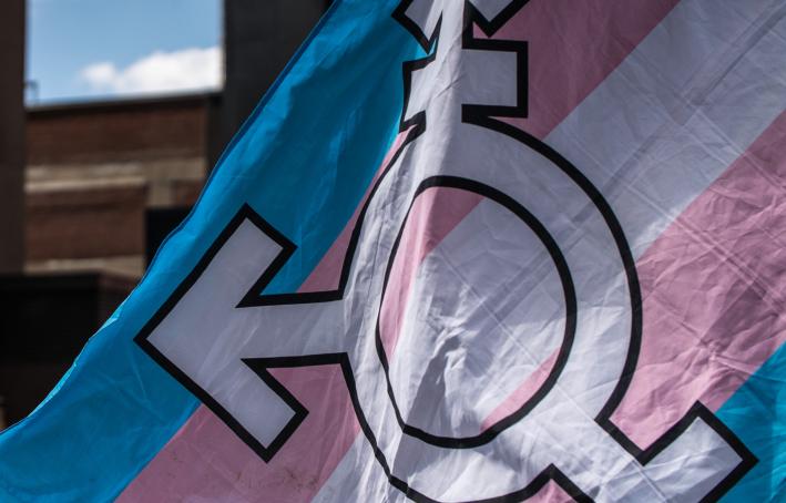 Trans Pride Flag