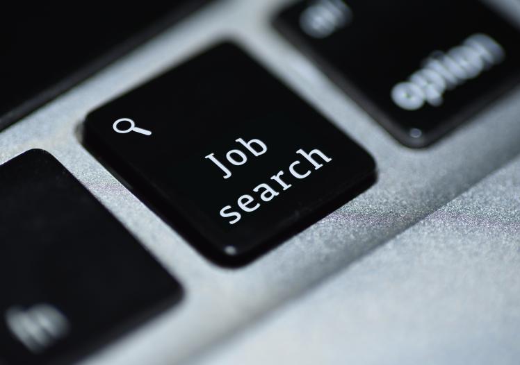 Job search