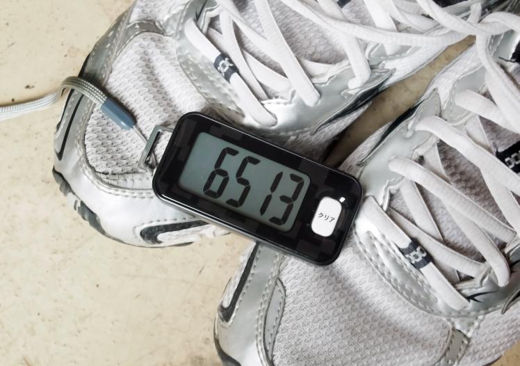 pedometer