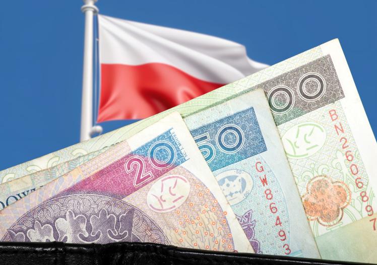 Polish flag, wallet and money Polish zloty