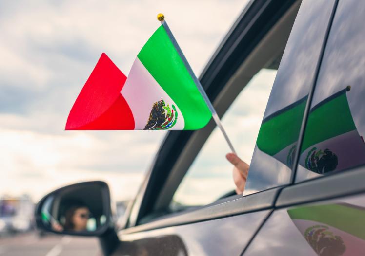 Woman Holding Mexican Flag from the open car window