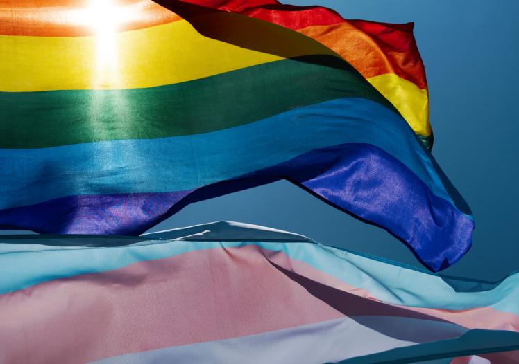 Pride and transgender flags 
