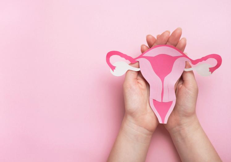 Paper uterus 