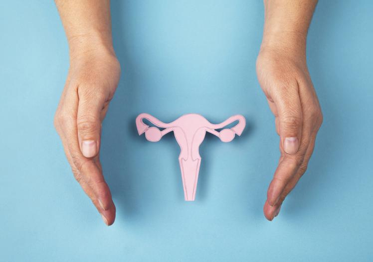 Uterus
