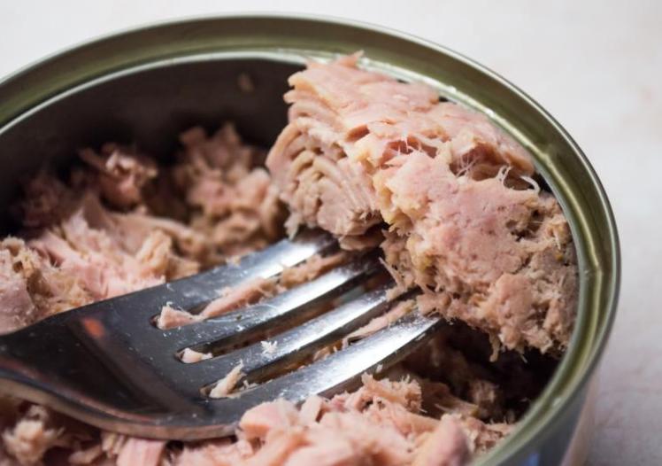Tuna can