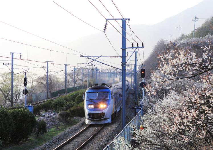 Train