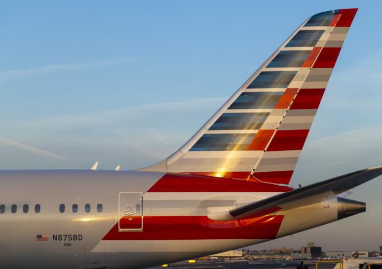 American Airlines Boeing 787-8 Dreamliner Aircraft N875BD at JFK Airport