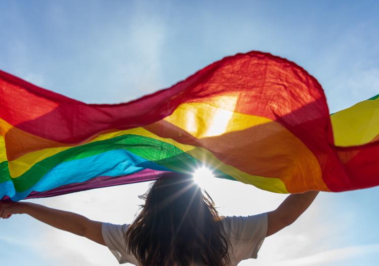 LGBTQ+ flag