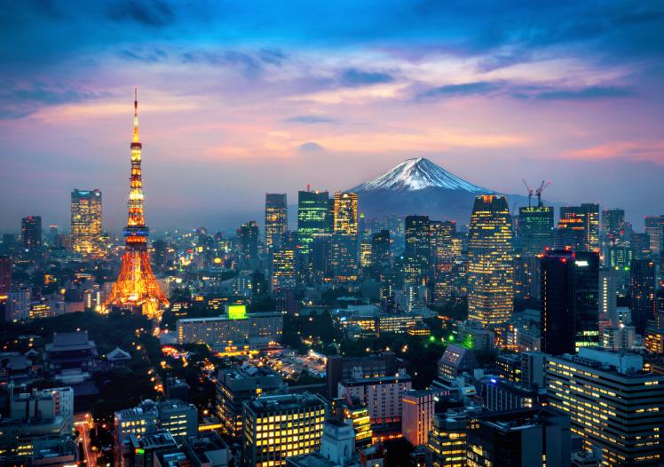 Aerial view of Tokyo cityscape with Fuji mountain in Japan. stock photo