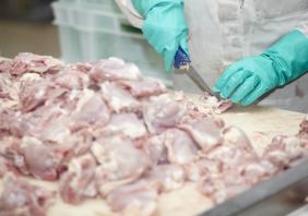 Poultry processing 