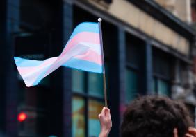 Trans pride flag