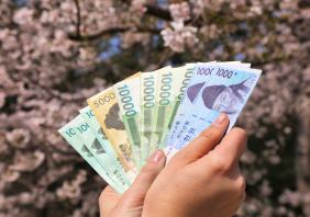 South Korean Won