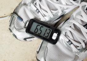 pedometer