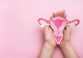 Paper uterus 