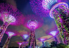 Super tree in Garden by the Bay, Singapore. stock photo