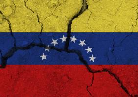 Venezuela flag