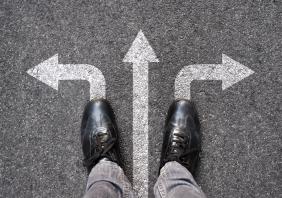 Legal career choices