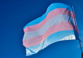 Trans flag