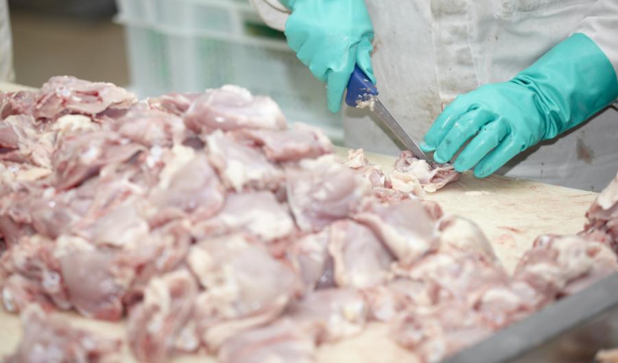 Poultry processing 