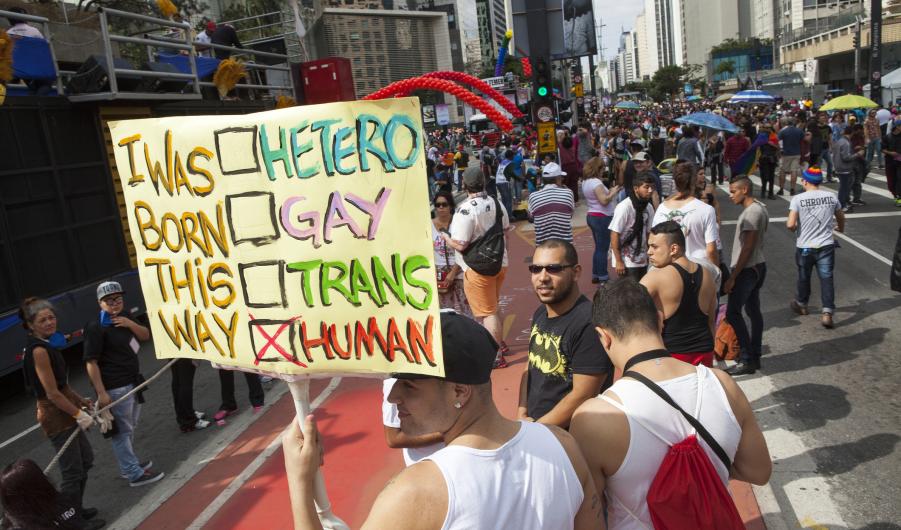 Pride Parade in Sao Paulo themed All the people together against Transphobia