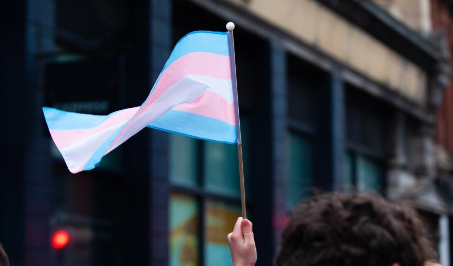 Trans pride flag