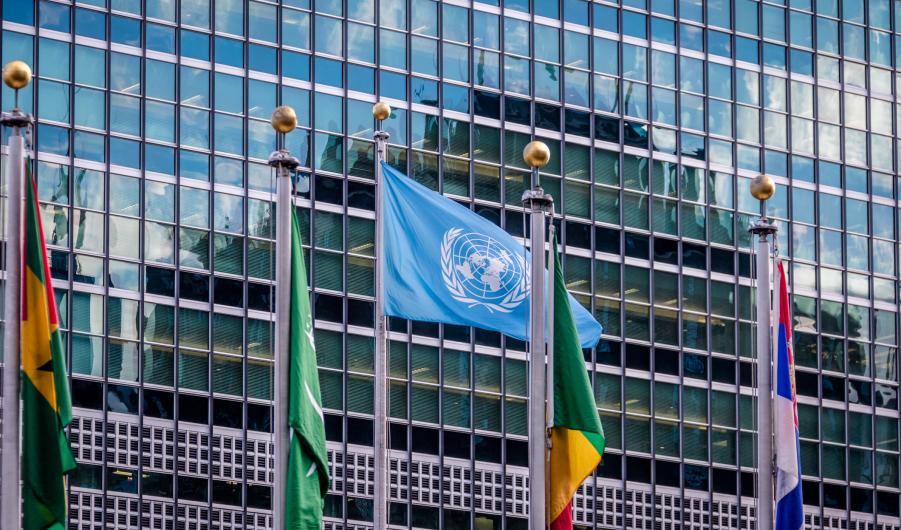UN flag