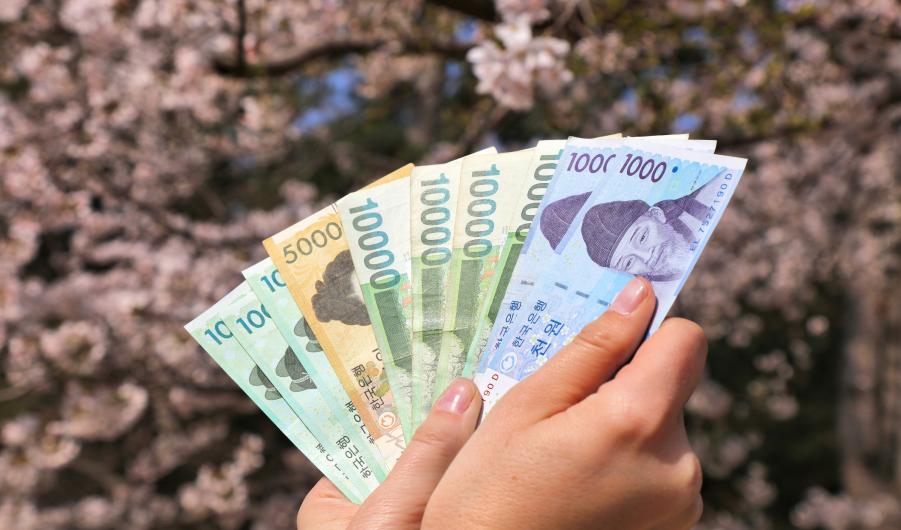 South Korean Won