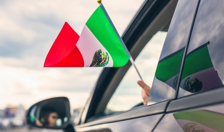 Woman Holding Mexican Flag from the open car window