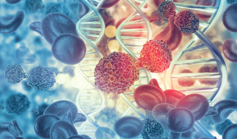 Cancer cells on dna stand