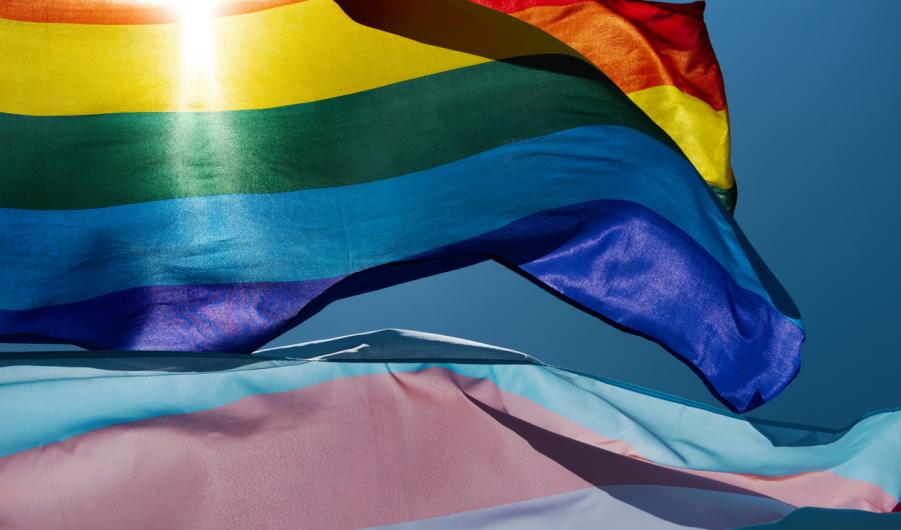 Pride and transgender flags 