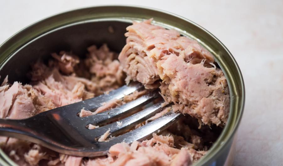 Tuna can