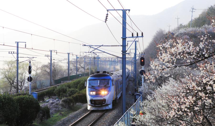 Train