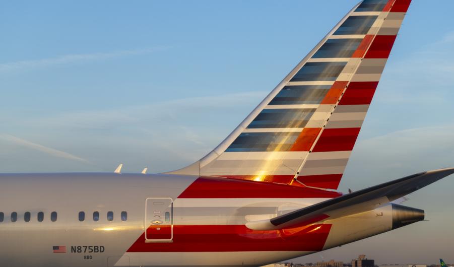 American Airlines Boeing 787-8 Dreamliner Aircraft N875BD at JFK Airport