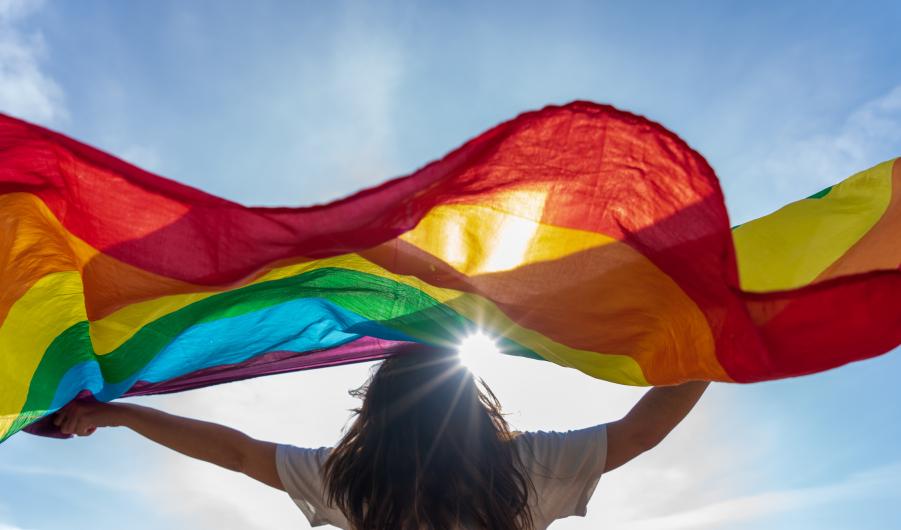 LGBTQ+ flag
