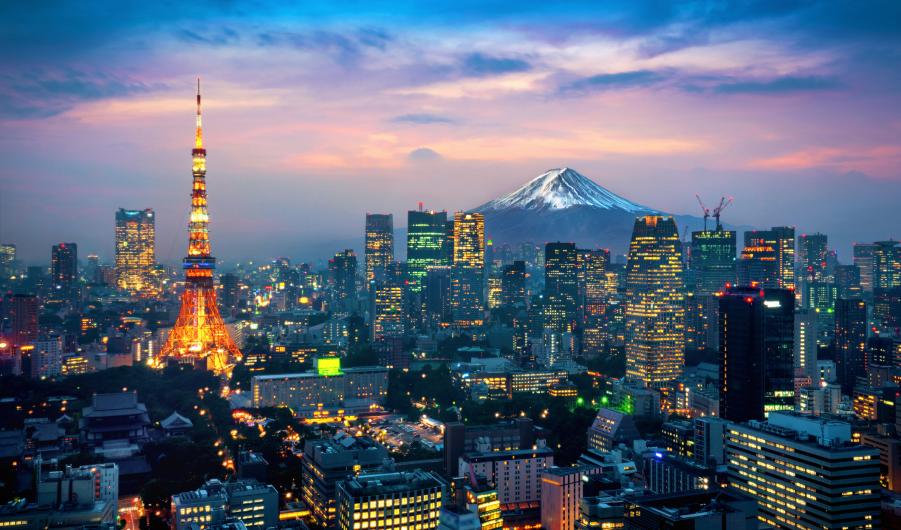 Aerial view of Tokyo cityscape with Fuji mountain in Japan. stock photo