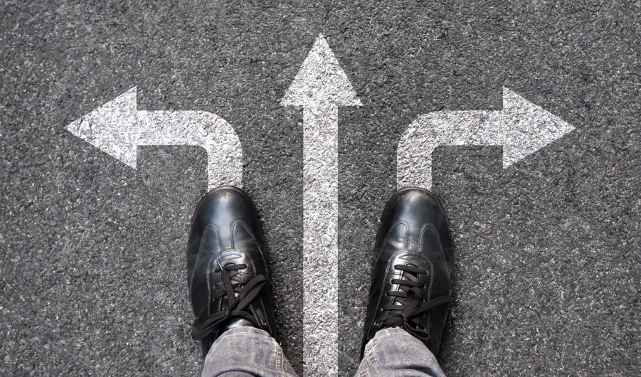 Legal career choices