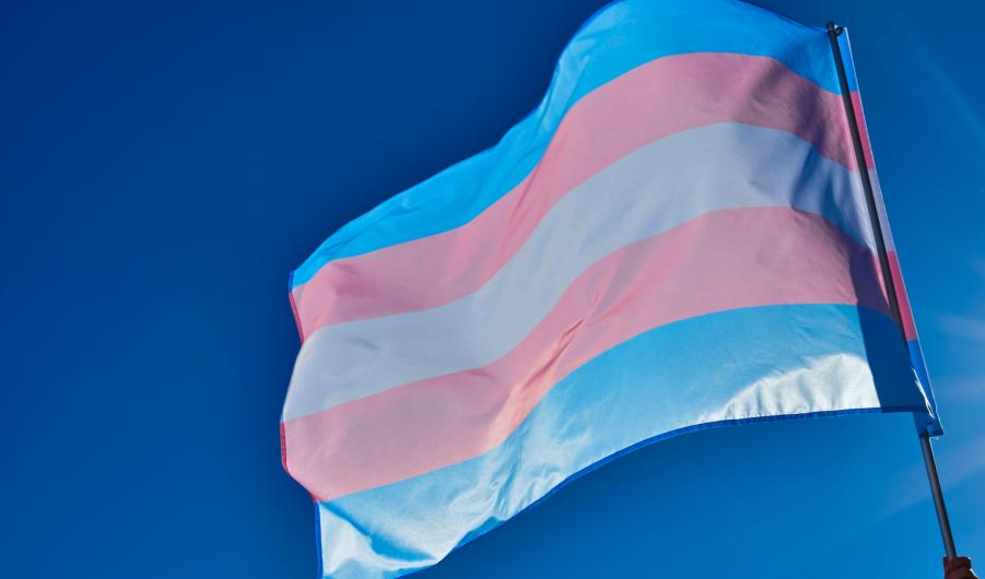 Trans flag