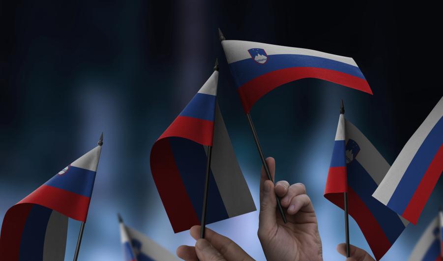 Slovenia flags 