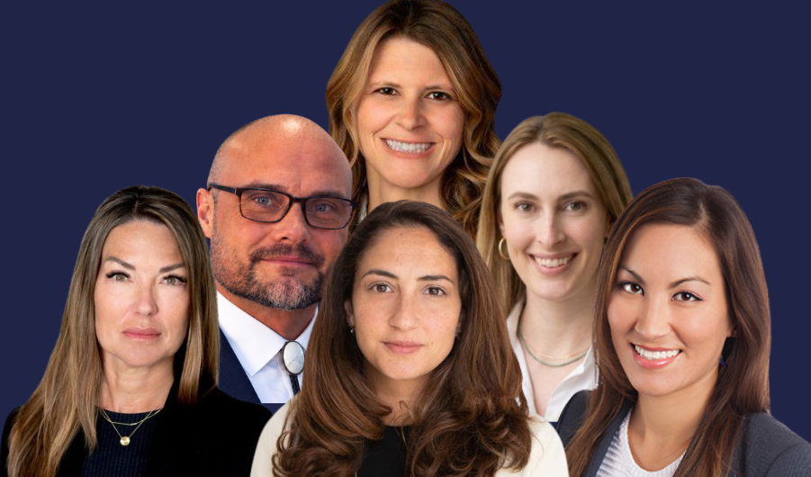 Kimberley Dempster, Tammi Essis Culkar, Janet Himmel, Micah Dawson, Sarah Bennett, and Lindsay Reimer, Ogletree Deakins
